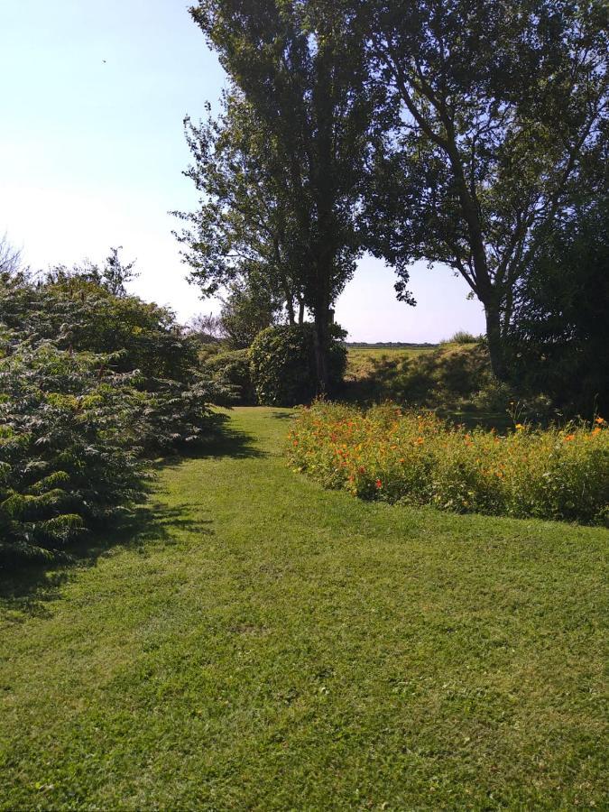 Ouddorp Vakantiehuisje Esterno foto
