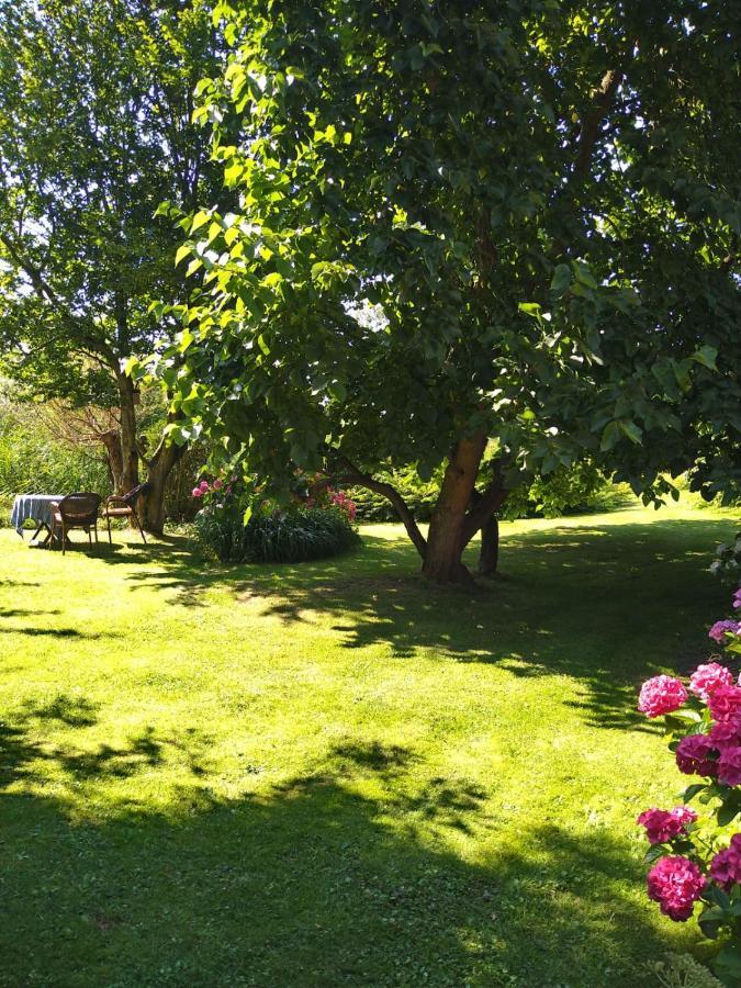 Ouddorp Vakantiehuisje Esterno foto