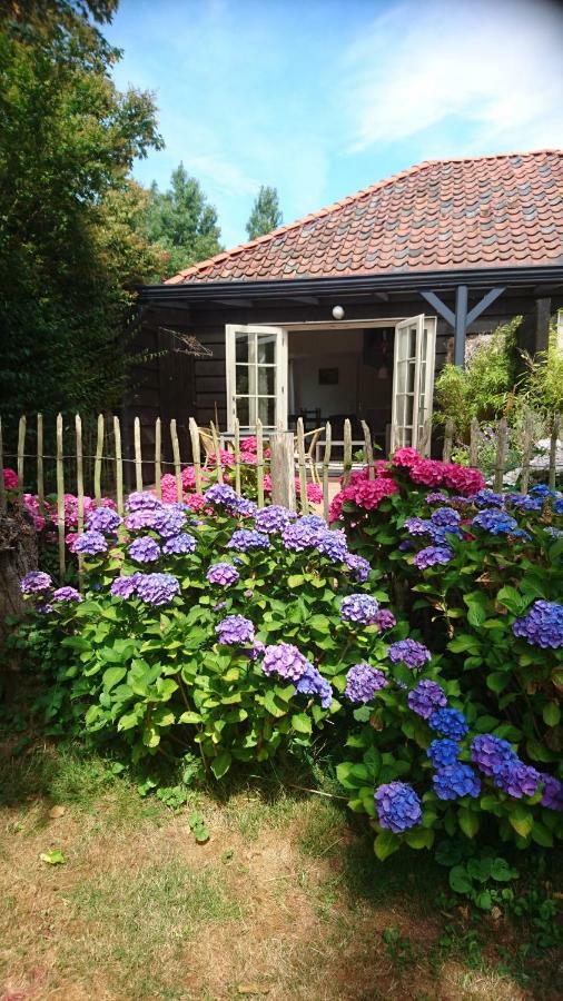 Ouddorp Vakantiehuisje Esterno foto